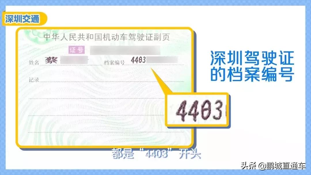 粤b摇号显示申请已取消,粤b怎样重新申请摇号