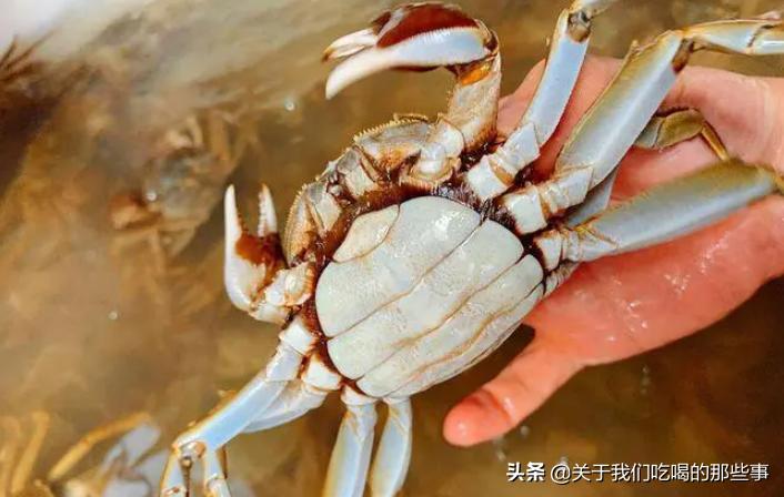新鲜的螃蟹怎么保存到第二天吃,吃不完的螃蟹应怎样保存比较新鲜