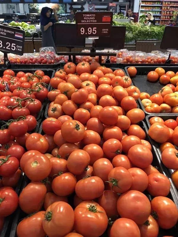 在迪拜生活的有多好,在迪拜普通人打工生活消费高吗