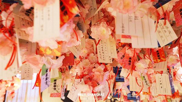 上海网红汤泉馆,1元泡汤泉