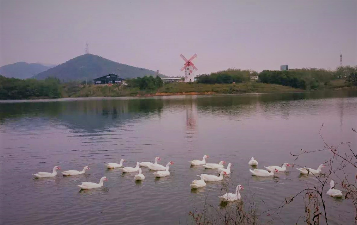 大连铭湖牧场一日游攻略,大连铭湖牧场观光图片