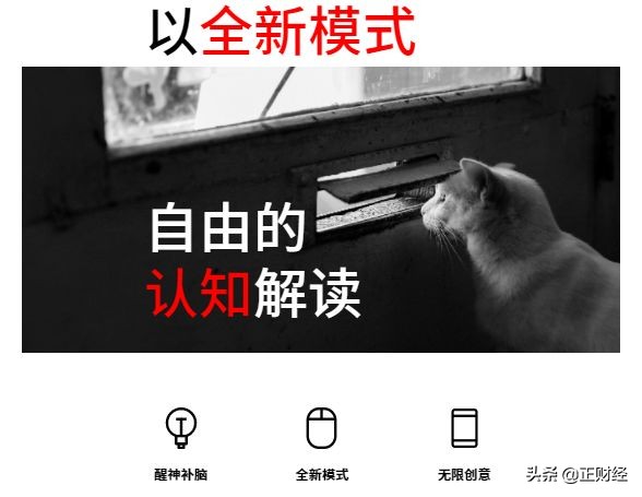 “2019为何成为茅台最缺货的一年？”