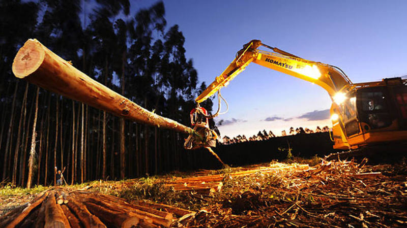 巴西2013图片大全,神奇的巴西