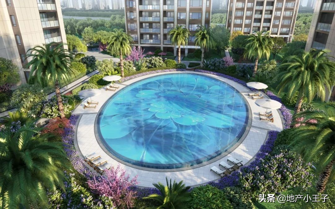 2019年摇红盘,摇不到的红盘