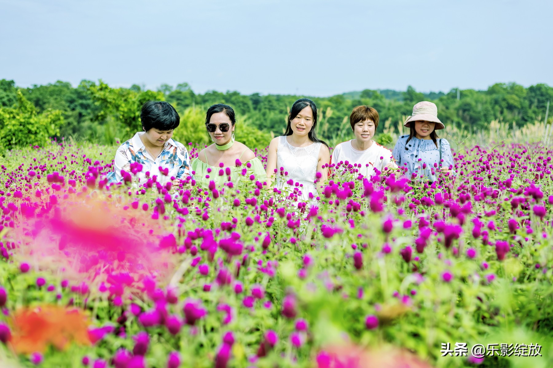 二十年相聚完整版,二十年再聚首