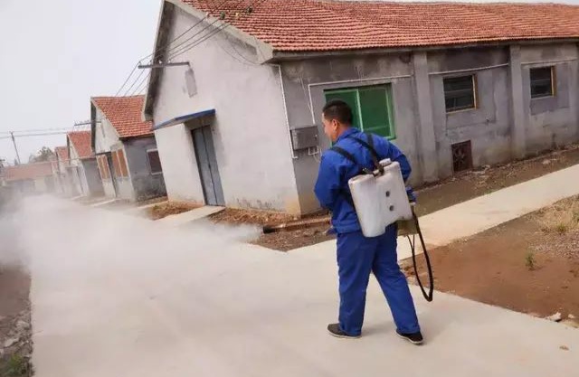 《抗非瘟战略如何布置，分期治疗是关键》——深度剖析