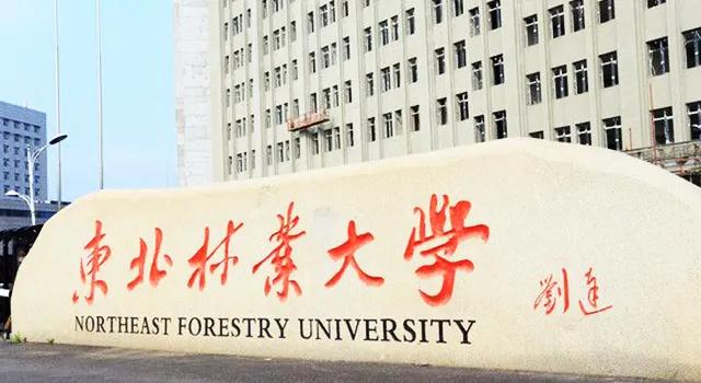 东北林业大学2021录取分数线,东北林业大学563分能上什么学校