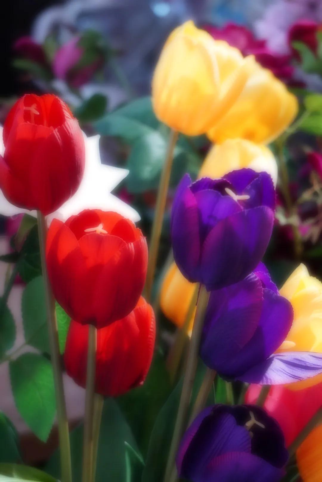 怎么可能不爱旅行呢,怎么不爱旅行呢