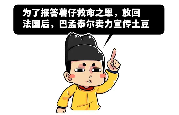 一个马铃薯能做什么,一个马铃薯可以做什么