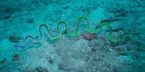 被误会了2500年的秦始皇,被误会了30年