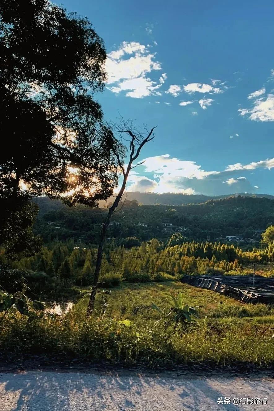 云南的西双版纳州怎么样,云南西双版纳景区怎么样