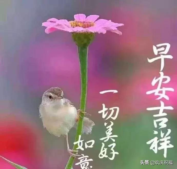 朋友圈早安正能量祝福问候语图片,早上好正能量祝福问候