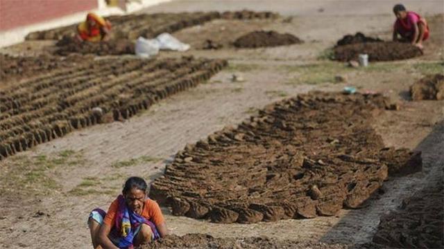 印度掏粪工死于什么病,印度掏粪工死亡人数