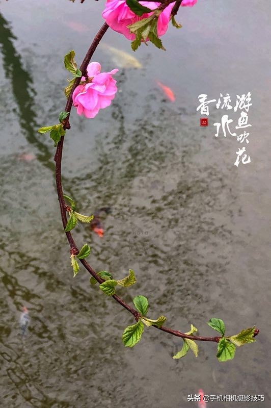 照片偏黄怎么调回正常,怎么把一张偏黄的照片恢复正常