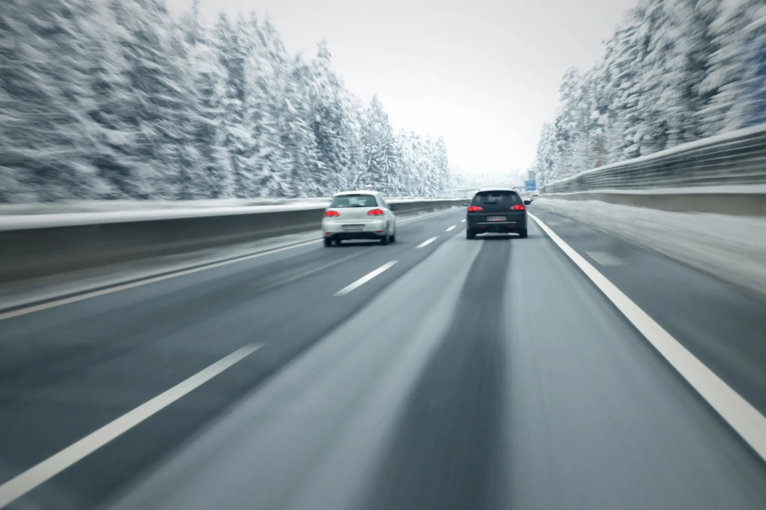 前方有动物横穿可以采取紧急避让,遇到猛兽可以开车直接撞吗