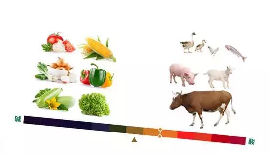 酸性体质更容易生病，是真的吗？