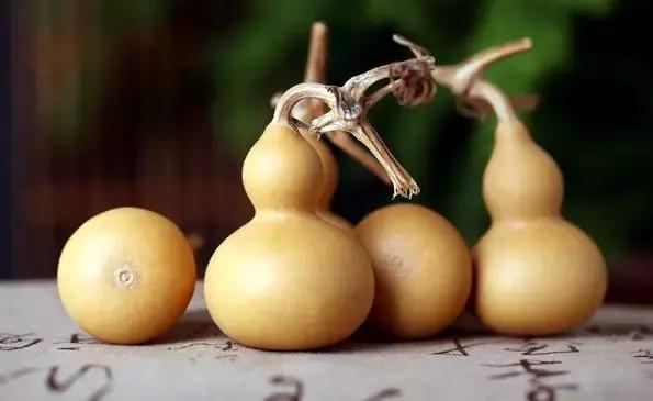 葫芦怎么玩啊,第一次玩葫芦视频