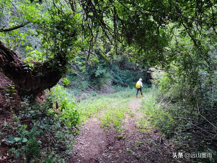 徒步寻访滇西大马路、走“九关十八铺”系列活动之四：回蹬关