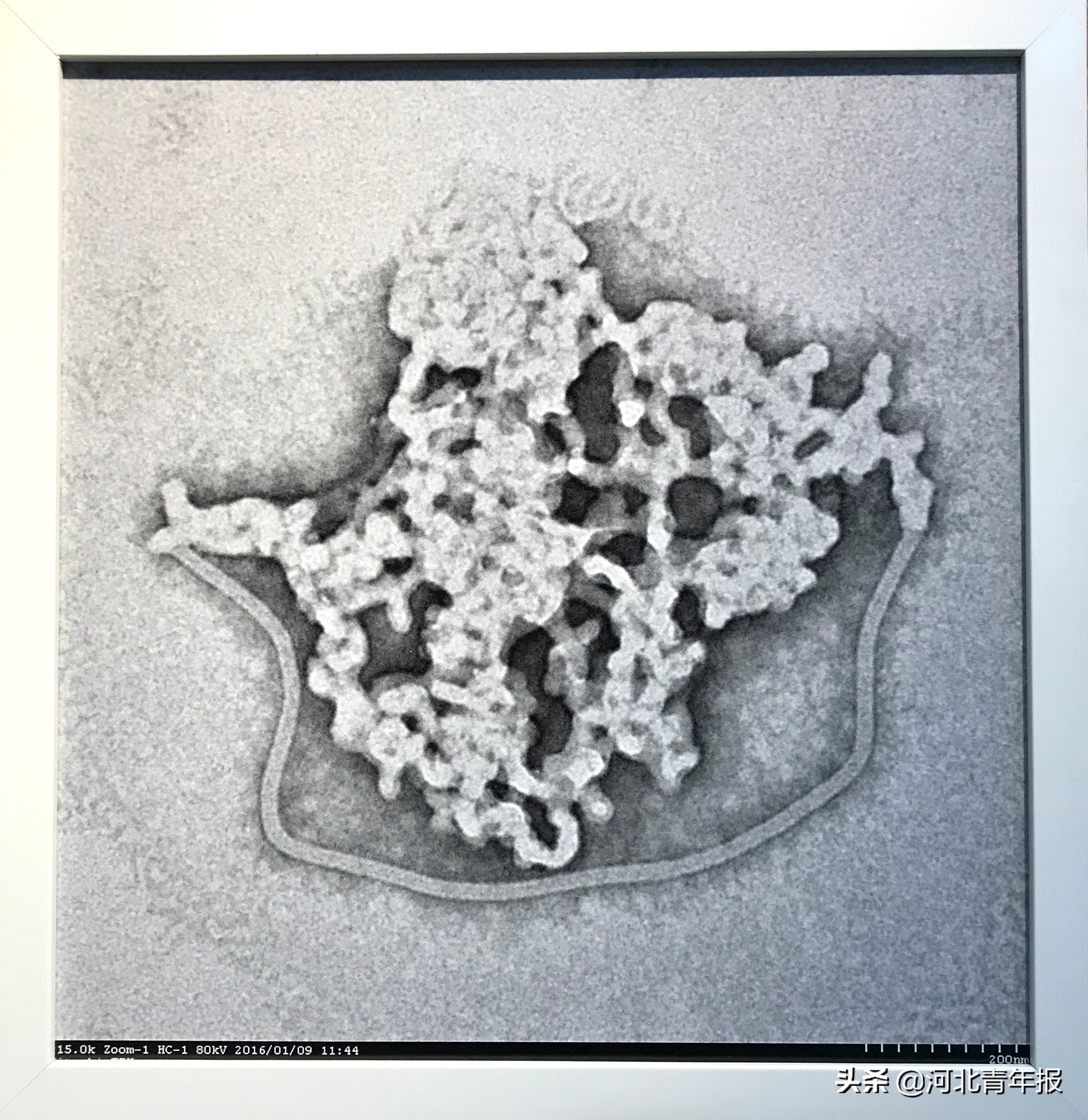 <html>
<head><title>502BadGateway</title></head>
<body>
<center><h1>502BadGateway</h1></center>
<hr><center>nginx</center>
</body>
</html>
<!--apaddingtodisableMSIEandChromefriendlyerrorpage-->
<!--apaddingtodisableMSIEandChromefriendlyerrorpage-->
<!--apaddingtodisableMSIEandChromefriendlyerrorpage-->
<!--apaddingtodisableMSIEandChromefriendlyerrorpage-->
<!--apaddingtodisableMSIEandChromefriendlyerrorpage-->
<!--apaddingtodisableMSIEandChromefriendlyerrorpage-->
