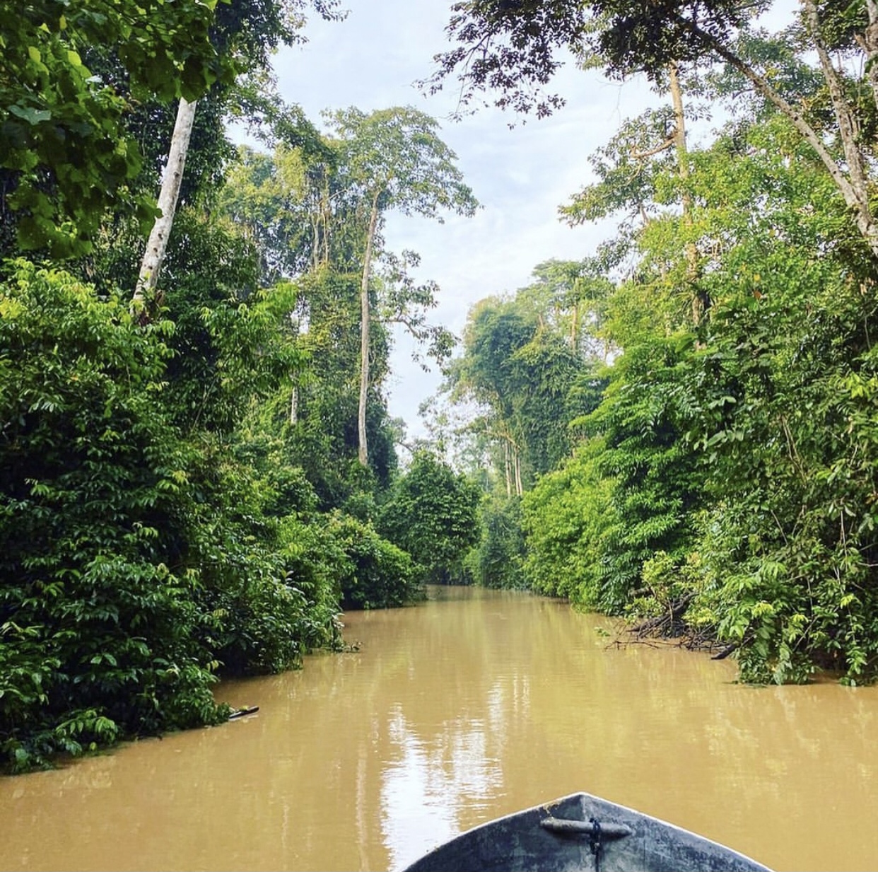 世界第一湾鳄,野性婆罗洲介绍