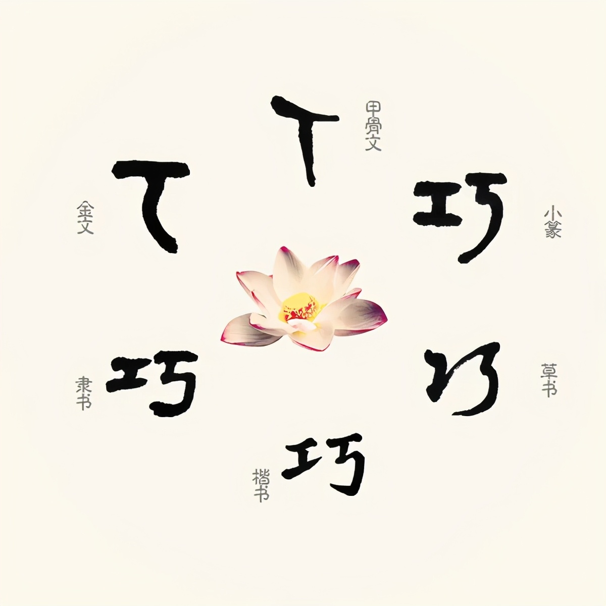 弄巧成拙,弄巧成拙的读音