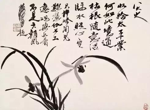 如何画兰花最好看的,君子兰花如何画