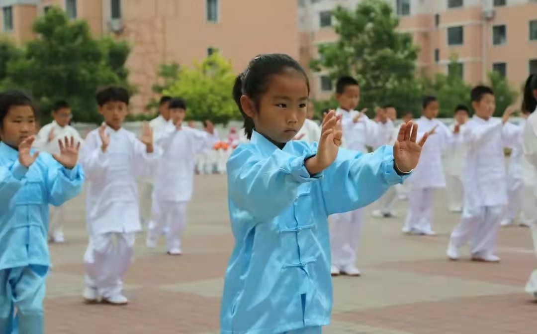 翟维传武式太极拳108式老架,葛传武太极拳