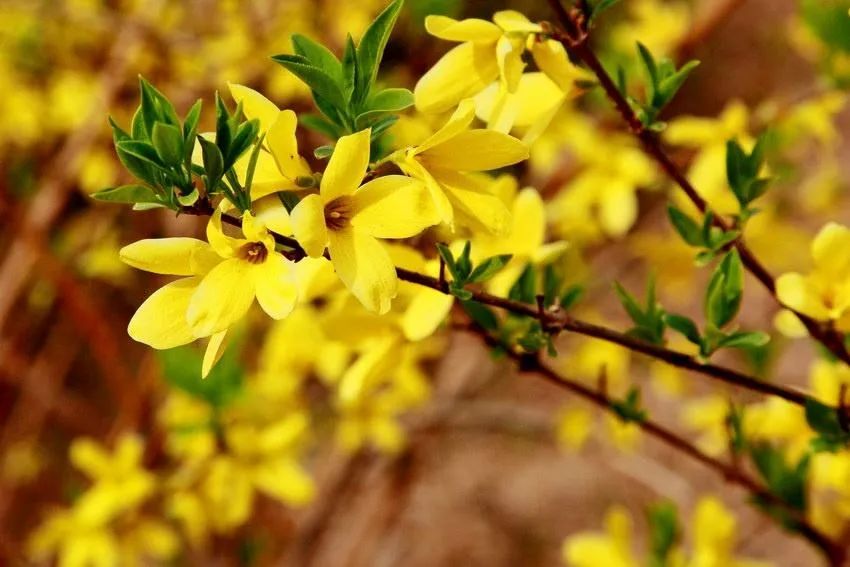 珏山景区旅游攻略,晋城珏山旅游景点大全