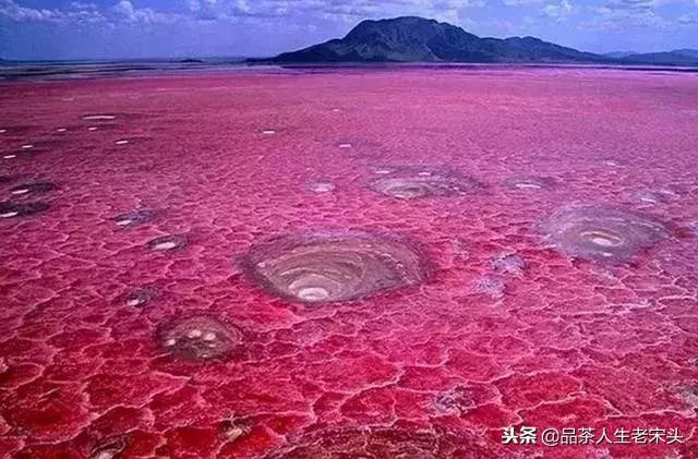 最新世界十大“怪”，最后一个太绝了！