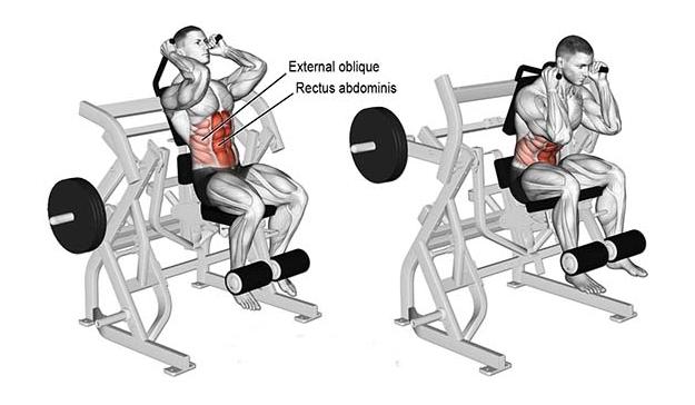 新手容易上手的健身器械,健身器械介绍