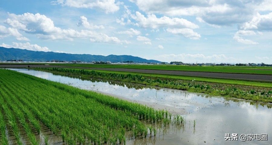 家电渠道营销策略,家电新零售打法