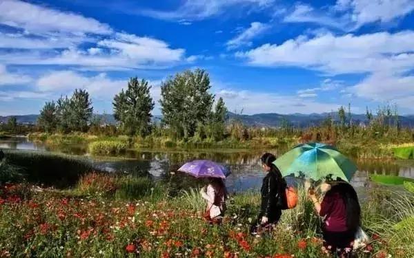 西昌邛海湿地公园旅游线路,西昌邛海湿地属于哪个省