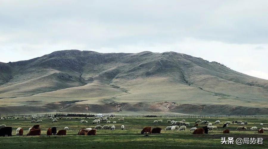 蒙古捐赠的三万只羊到哪里了,蒙古捐赠的3万只羊怎么样了