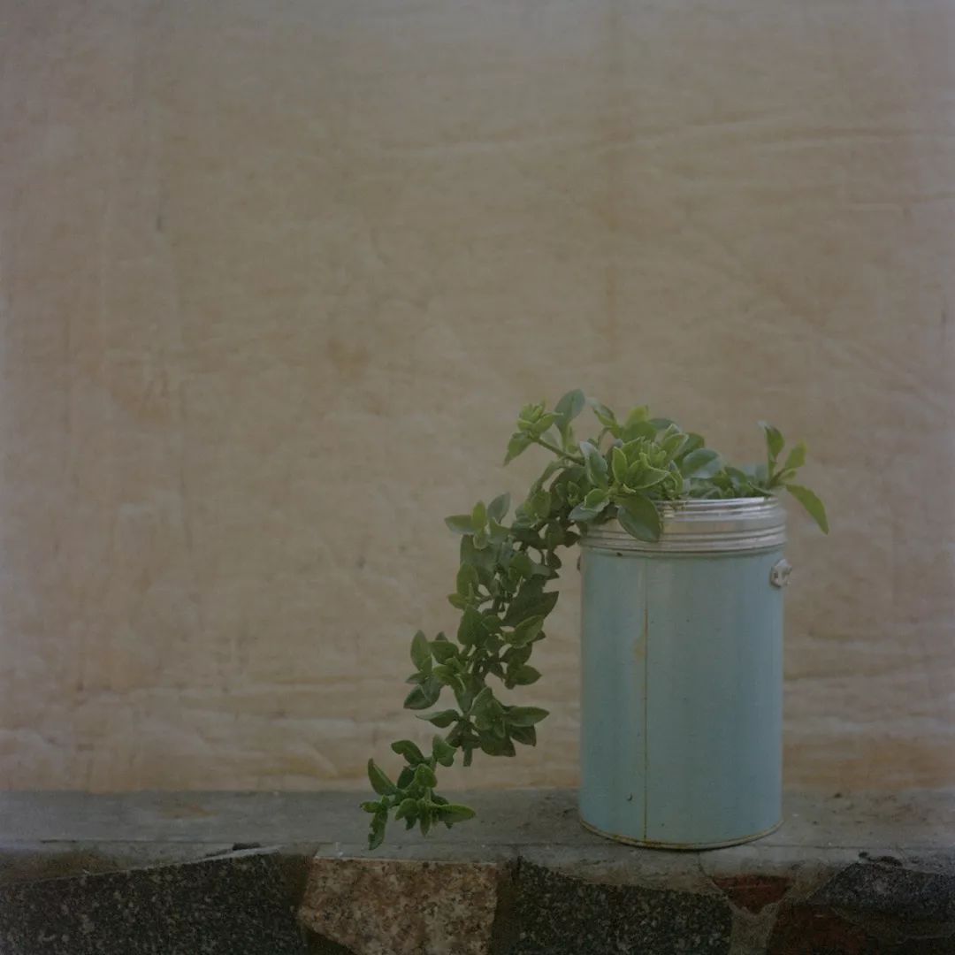 中国荒村纪录第一,中国的荒村记录