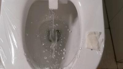 舒服如厕的正确打开方式,如厕通畅小妙招