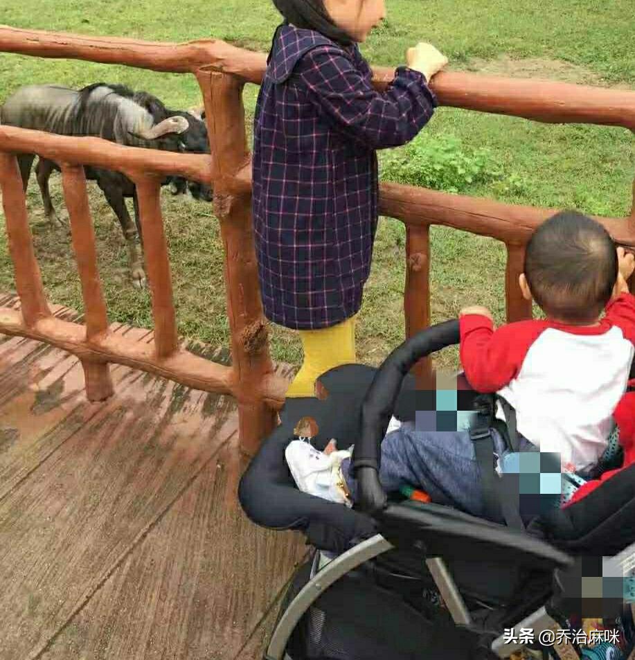 婴儿车品牌鄙视链,婴儿用品鸡肋婴儿车