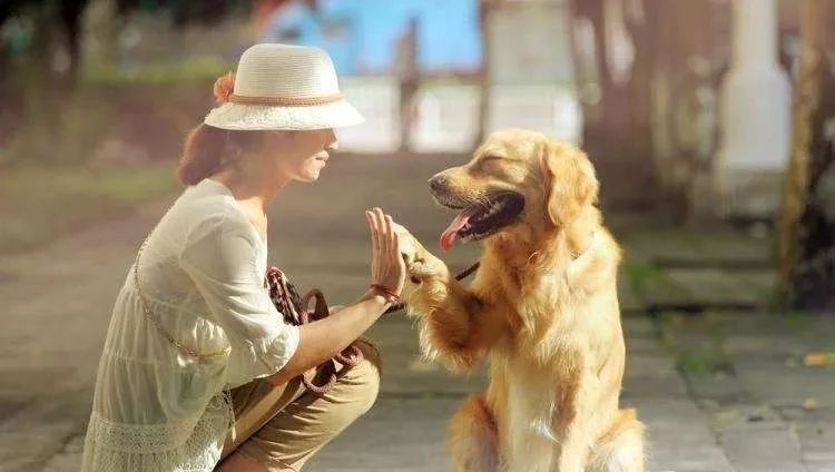 閲嶅簡濂冲瓙鍗婇┈,閲嶅簡濂冲瓙鍗婇┈瀹屾暣瑙嗛