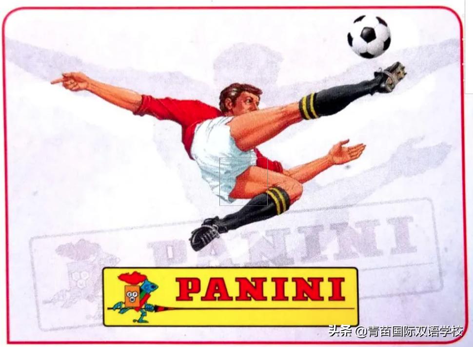 国际学校教育优势,国际学校的教育意义