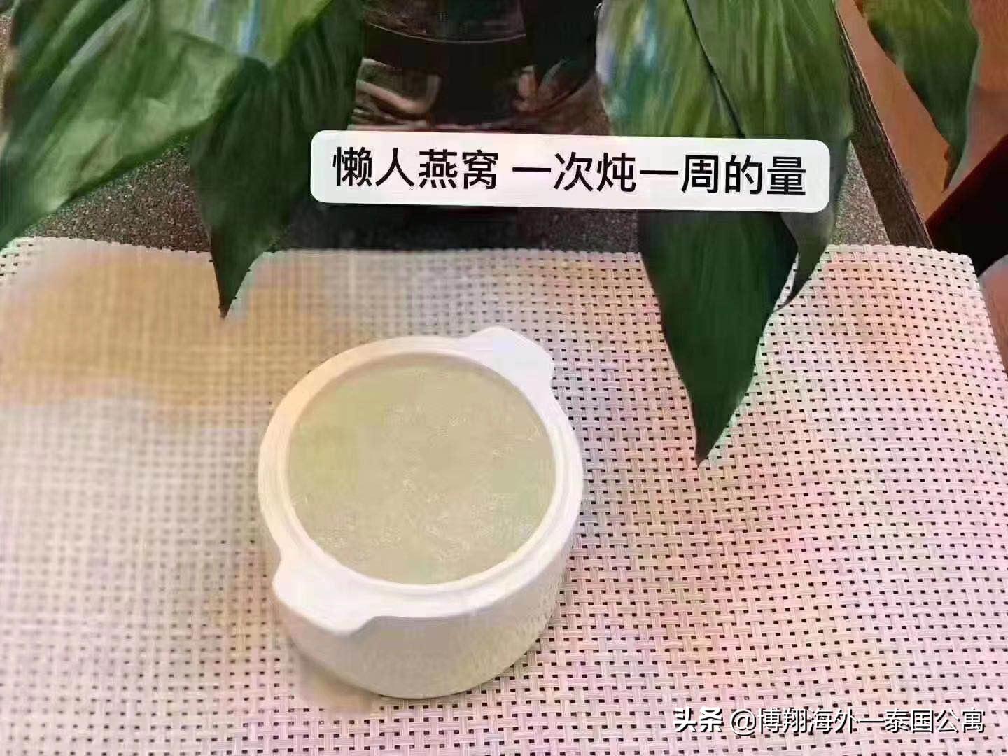 泰国燕窝比马来好些吗,印尼燕窝和马来西亚燕窝区别