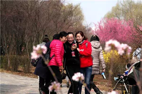 女神节陕西免门票的景点,陕西女神节免票景区
