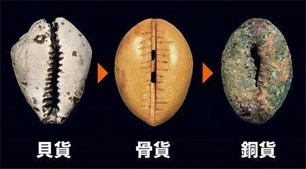 古人用贝壳做钱币为啥不去海边,古代为什么用贝壳当钱币