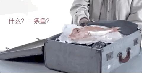 过海关被取消签证还能再申请吗,出国被海关劝返签证还能用吗