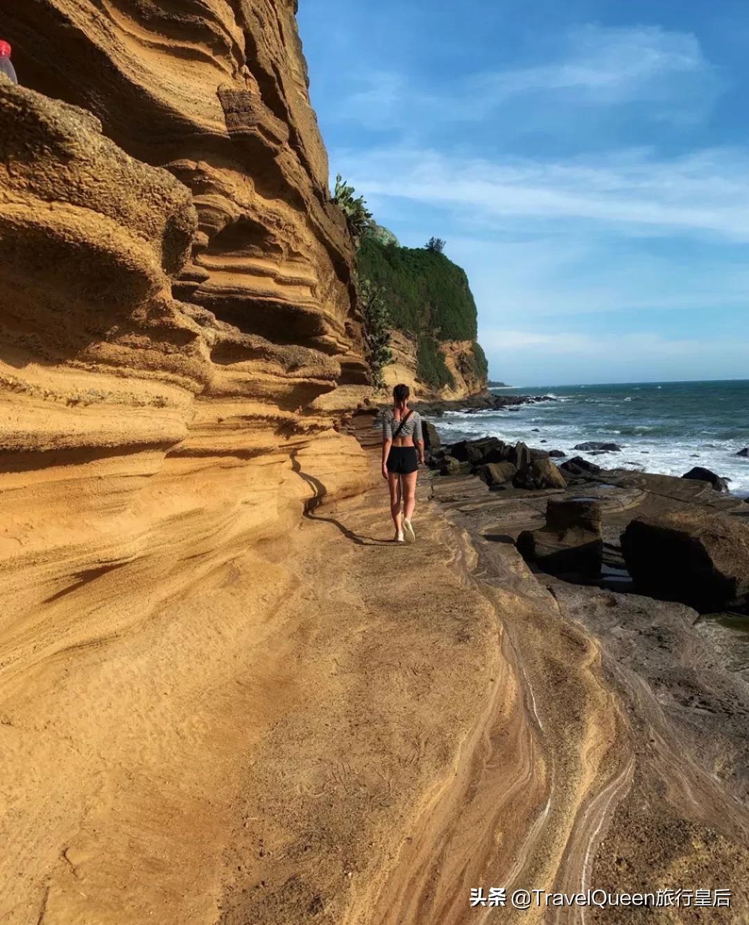 动物森友会无人岛一天可以去几次,动物森友会所有虫类图鉴