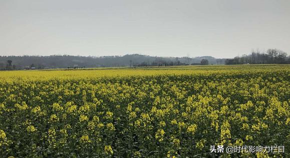 抗击疫情警察父子兵,硬核家庭祖孙三代抗疫齐上阵