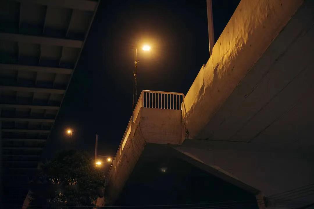 住在上海闹市400平的房子里，花开不败，开窗见池塘，太羡慕了