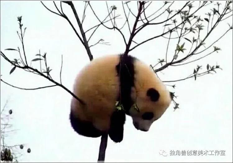 你没见过的熊猫绘画,熊猫绘画抖动修正怎么用