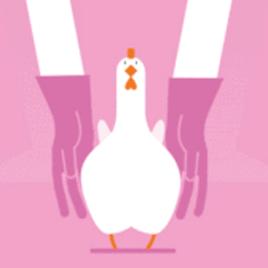 动物的英文词汇汇总,你最喜欢哪种动物?