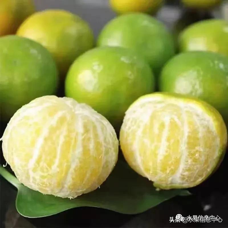 我国柑橘产区分布,柑橘产地行情