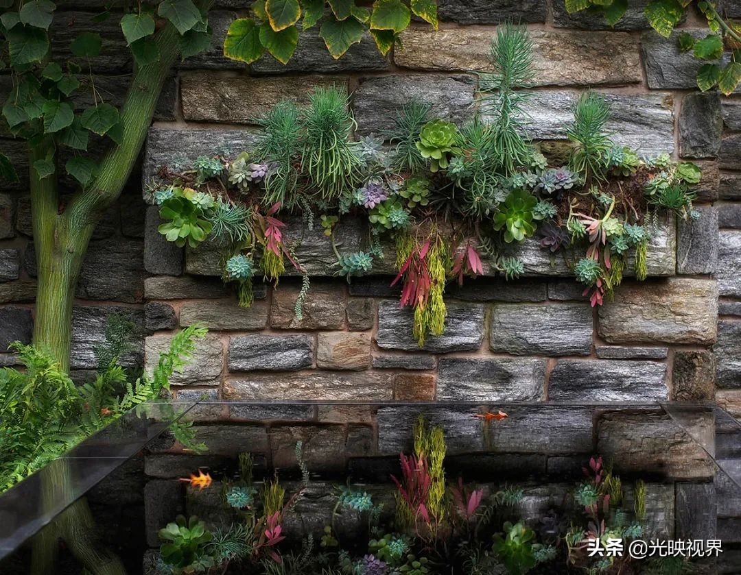 世界级国际花园摄影大赛,中国最美花园摄影作品