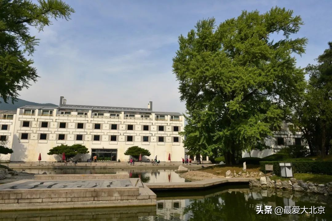 香山红叶几月去最好香山用预约吗,去北京香山看红叶别去爬山吗